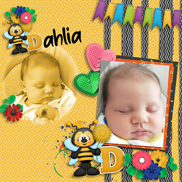 Dahlia