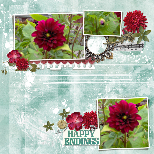 Dahlias
