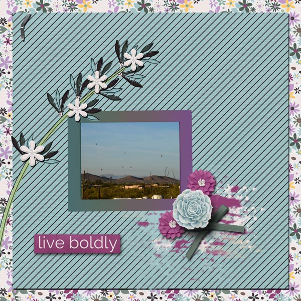 daily-dl6