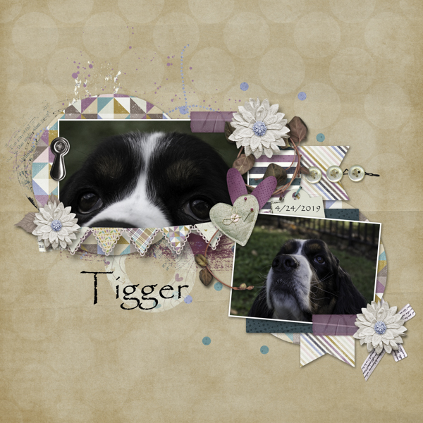 Daily Download Chal - Tigger