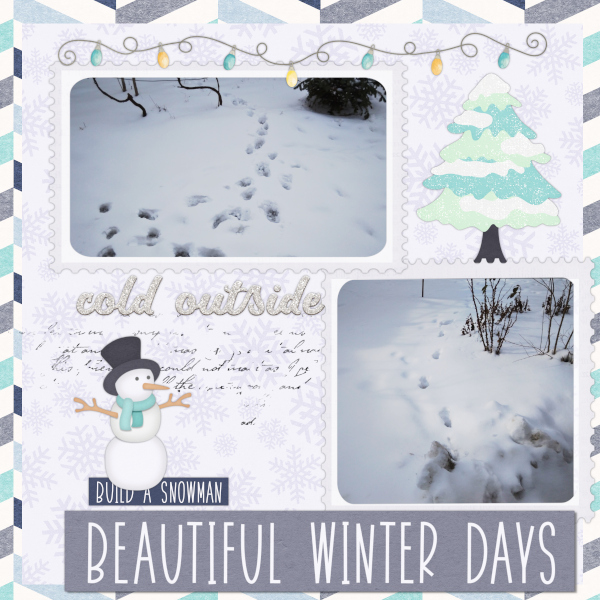 dailydownload19jan-small