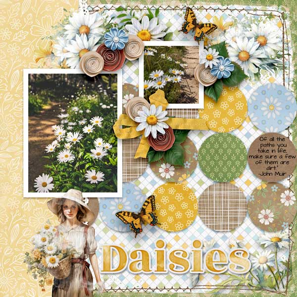 daisies-aimee-harriison.jpg