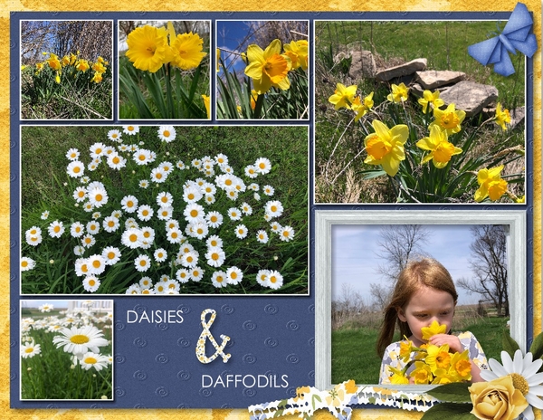 Daisies and daffodills