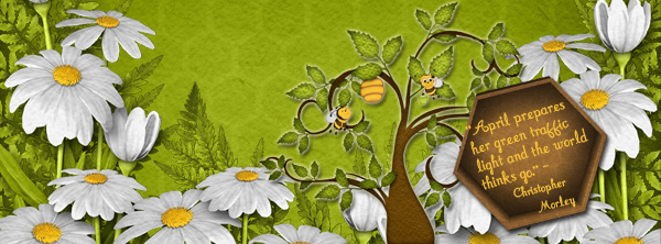 Daisies!  Spring!!