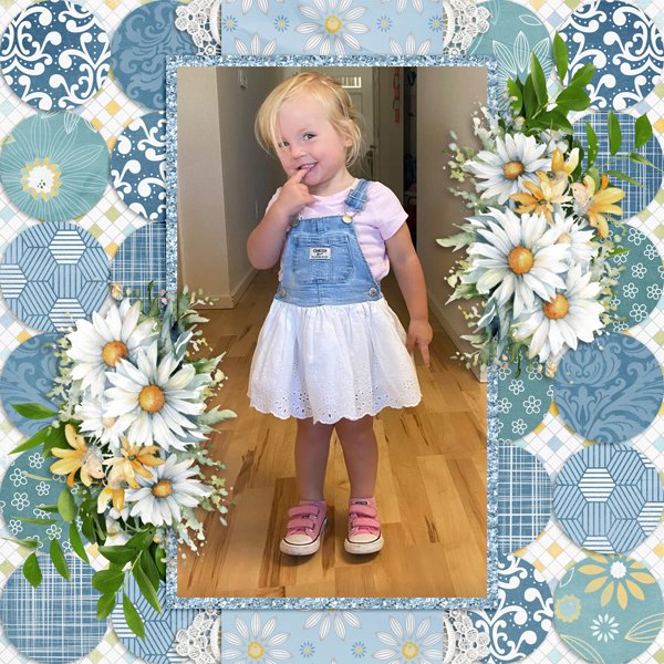 Daisies with Temp #2-Aimee.jpg