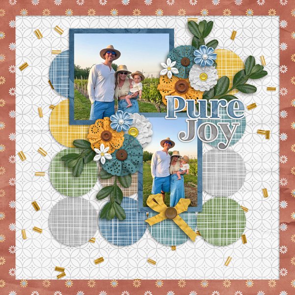 Daisies with Temp #4-Aimee.jpg