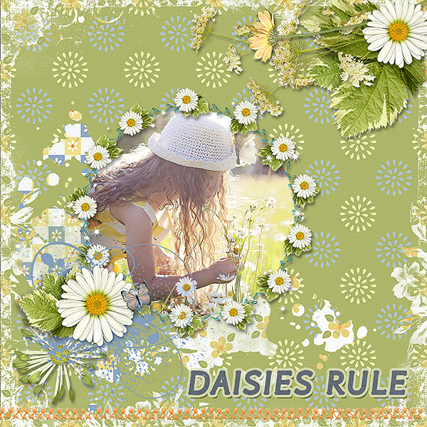 Daisies