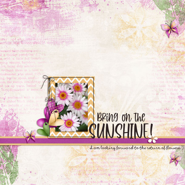 Daisies