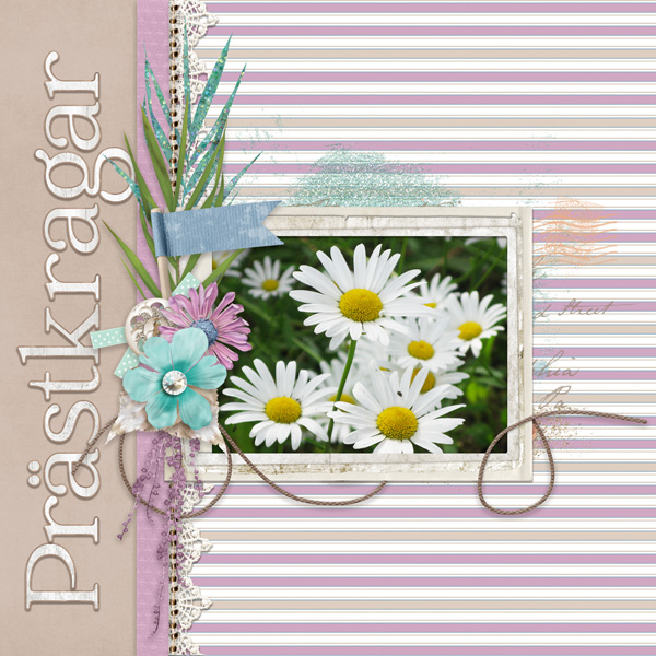 Daisies