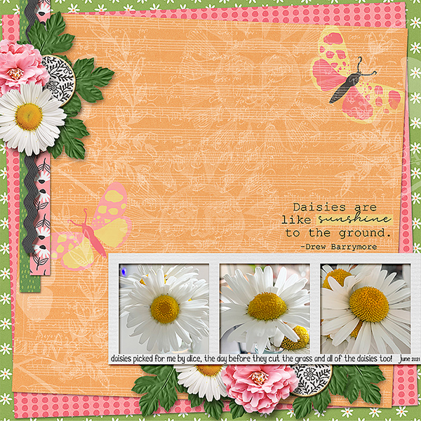 Daisies