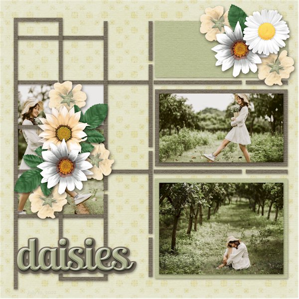 Daisies