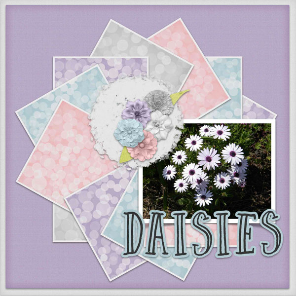 Daisies