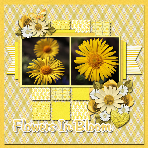 Daisies