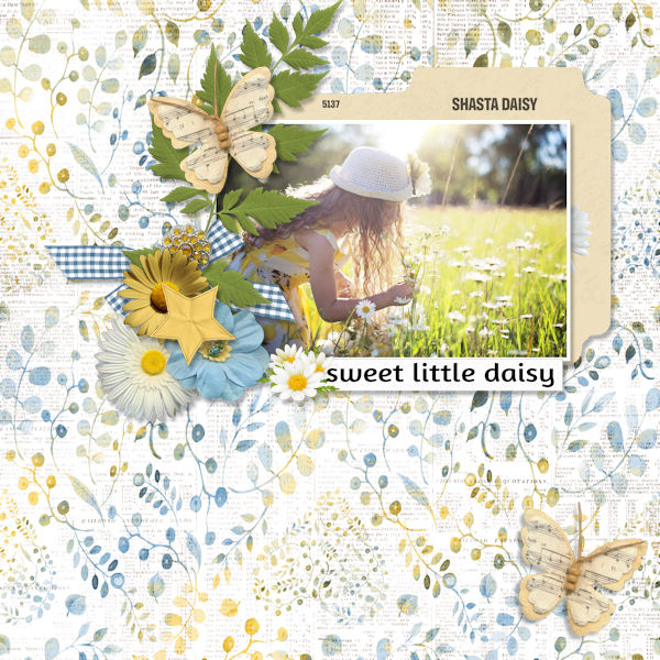 Daisies