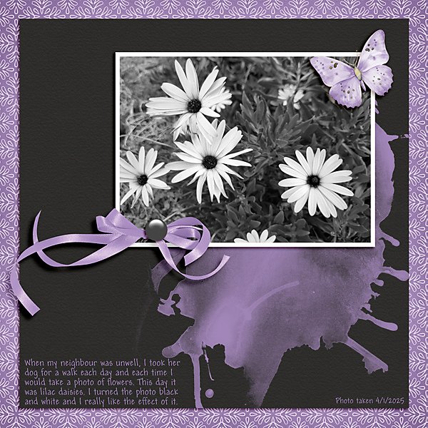 Daisies