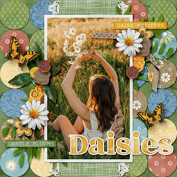 Daisies