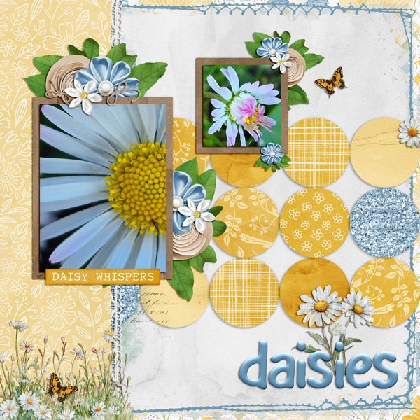 daisies