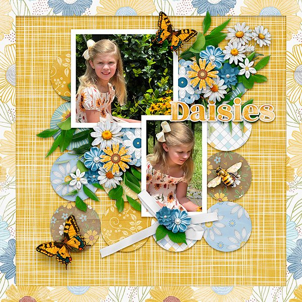 Daisies