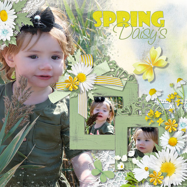 Daisy by Ilonka's Designs