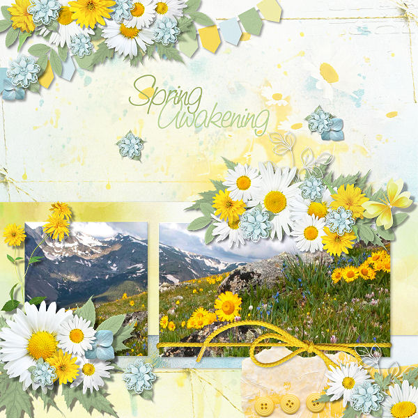 Daisy by Ilonka's Designs