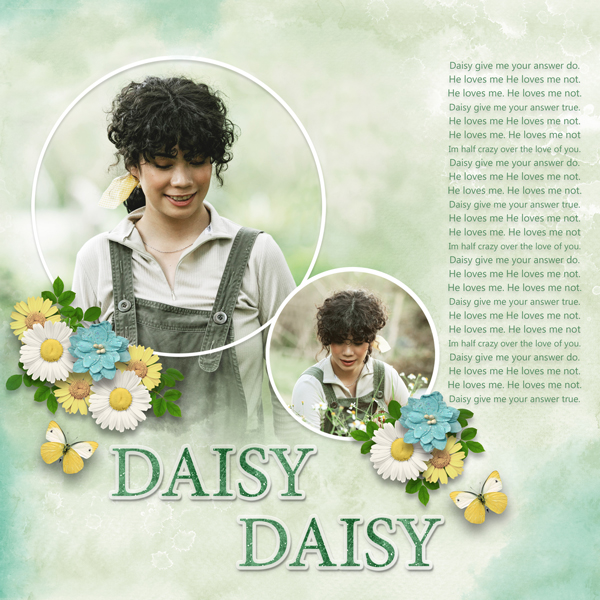 Daisy Daisy