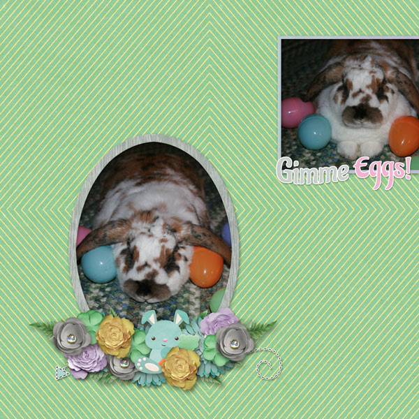 Daisy Eggs