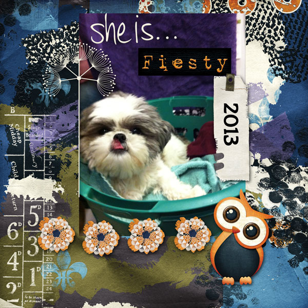 Daisy Fiesty