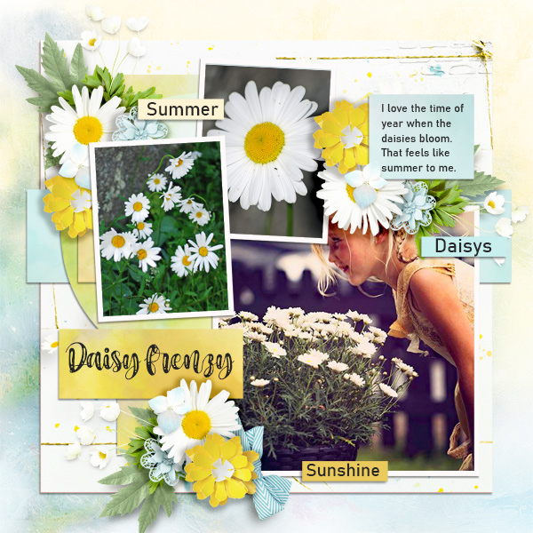Daisy-frenzy