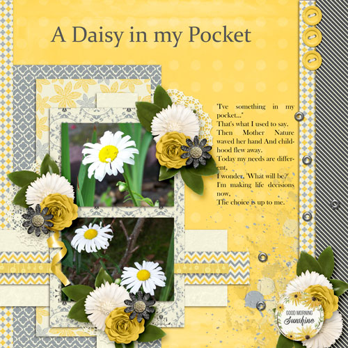 Daisy in my Pocket