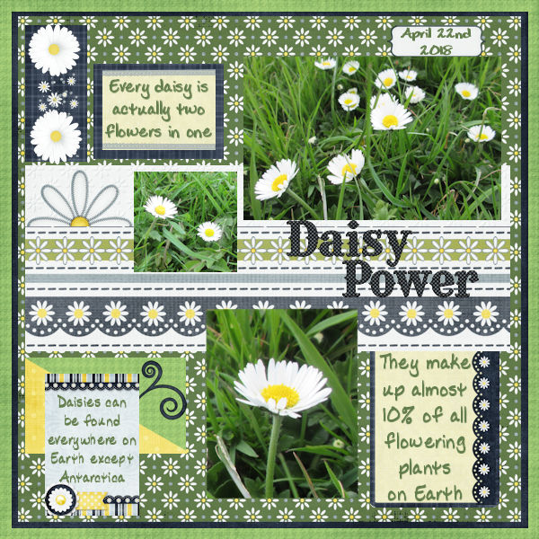 Daisy Power