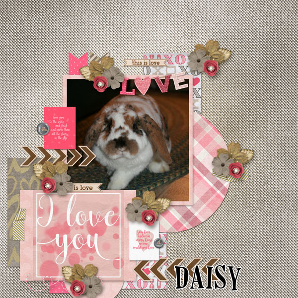 Daisy