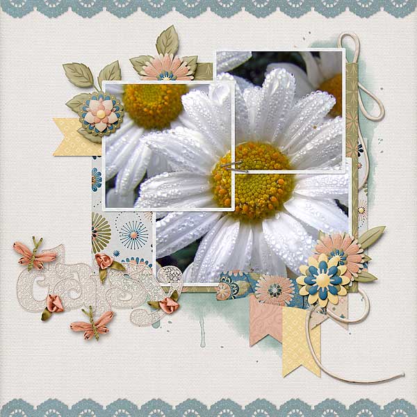 Daisy