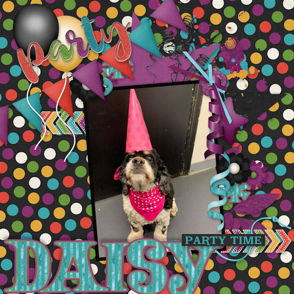 Daisy