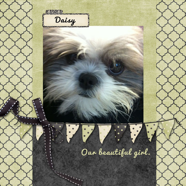 Daisy