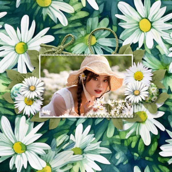 Daisy
