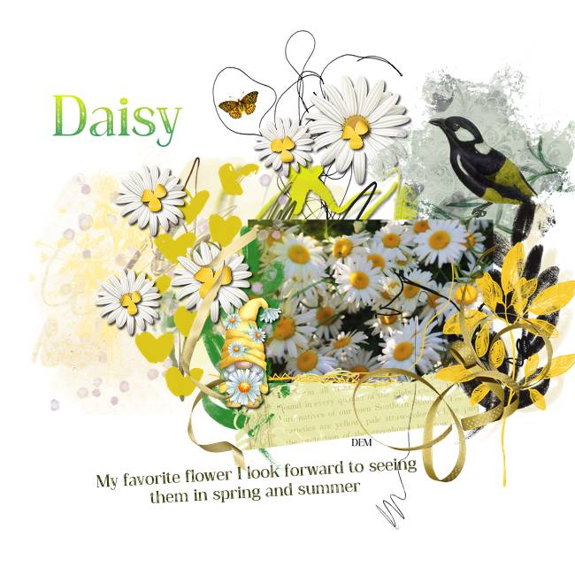 Daisy