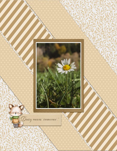 Daisy