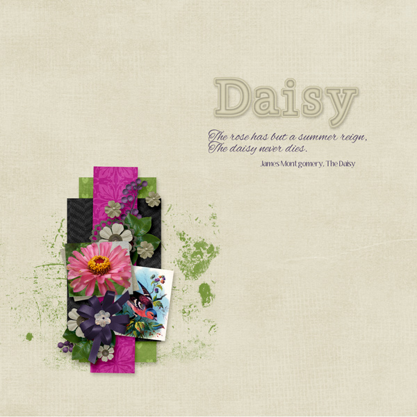 Daisy