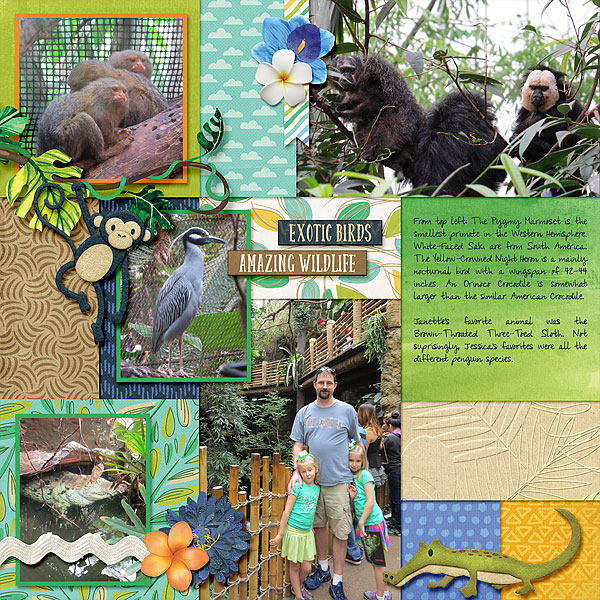 Dallas World Aquarium 2