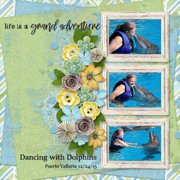 Dancing with Dolphins