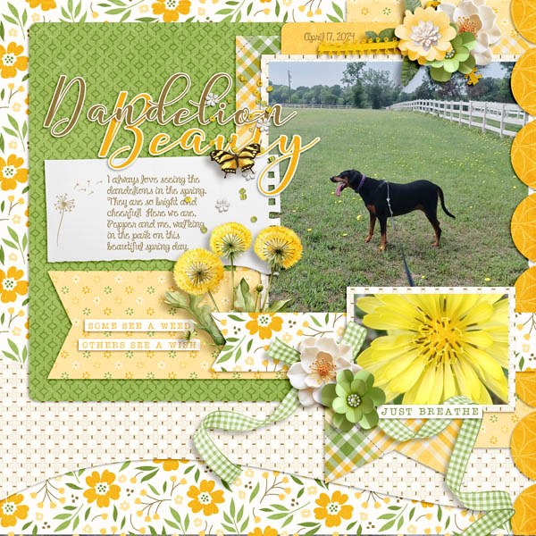 Dandelion Beauty