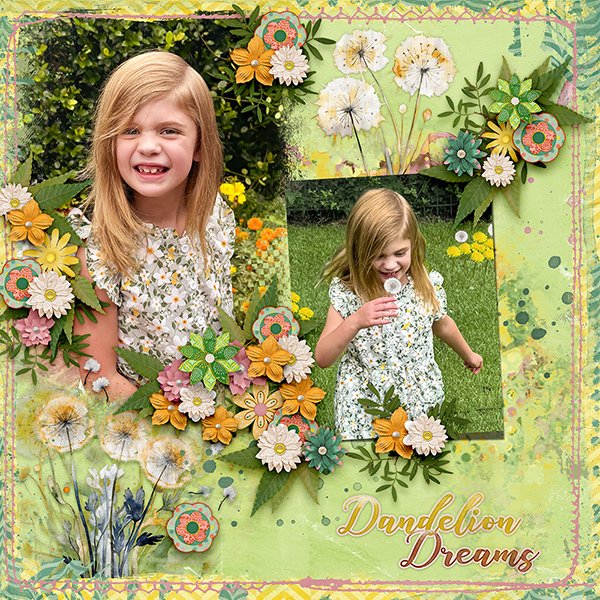 Dandelion Dreams