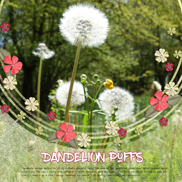 Dandelion Puffs