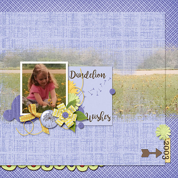 Dandelion Wishes