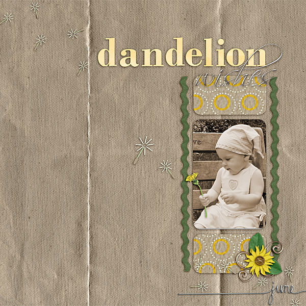 Dandelion Wishes