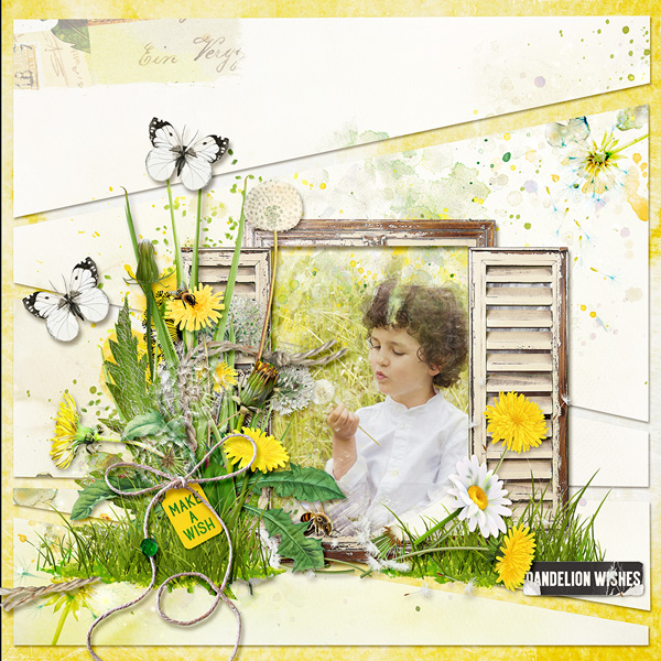 Dandelion Wishes