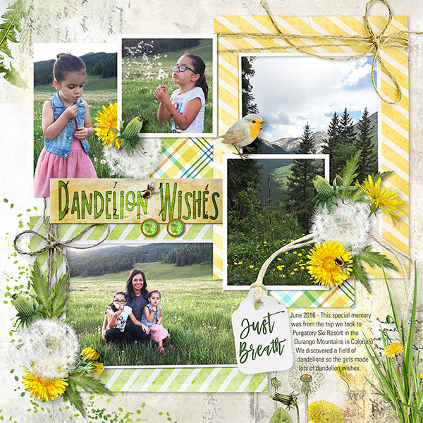 DANDELION WISHES