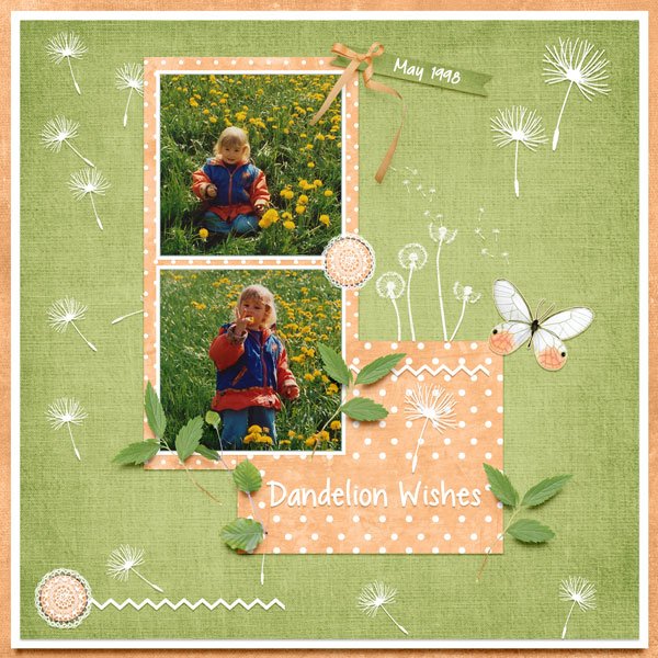 Dandelion Wishes