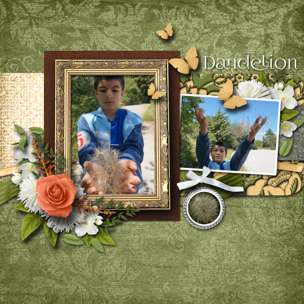 dandelion