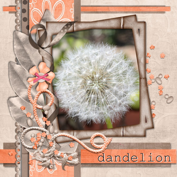 Dandelion